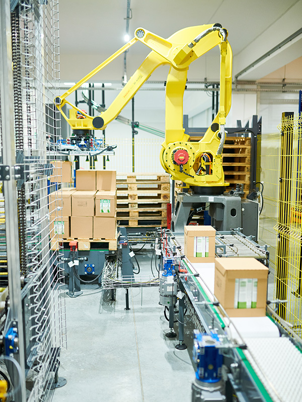Robotik Taşıma ve Paletleme Hattı